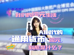 <b>者需要控制编程手艺、组建手艺团队、投入大量</b>